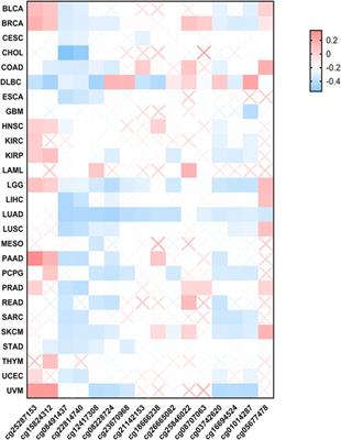 Pan-Cancer Transcriptome and Immune Infiltration Analyses Reveal the Oncogenic Role of Far Upstream Element-Binding Protein 1 (FUBP1)